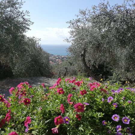Casa Elena Lägenhet Moneglia Exteriör bild